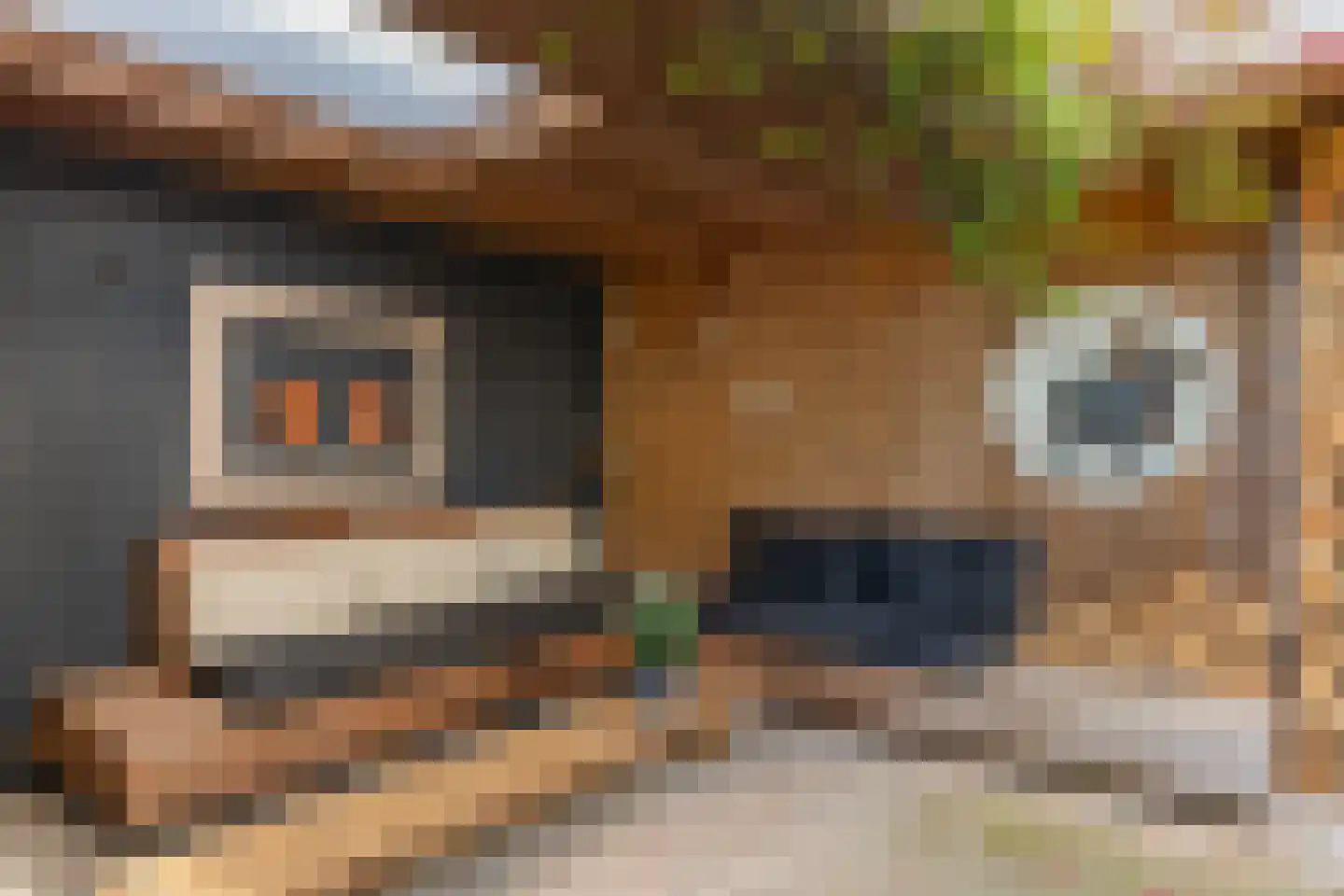 Pijlhuishorst 12 Enschede thumbnail 39