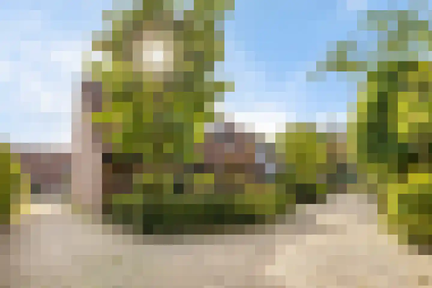 Pijlhuishorst 12 Enschede thumbnail 43