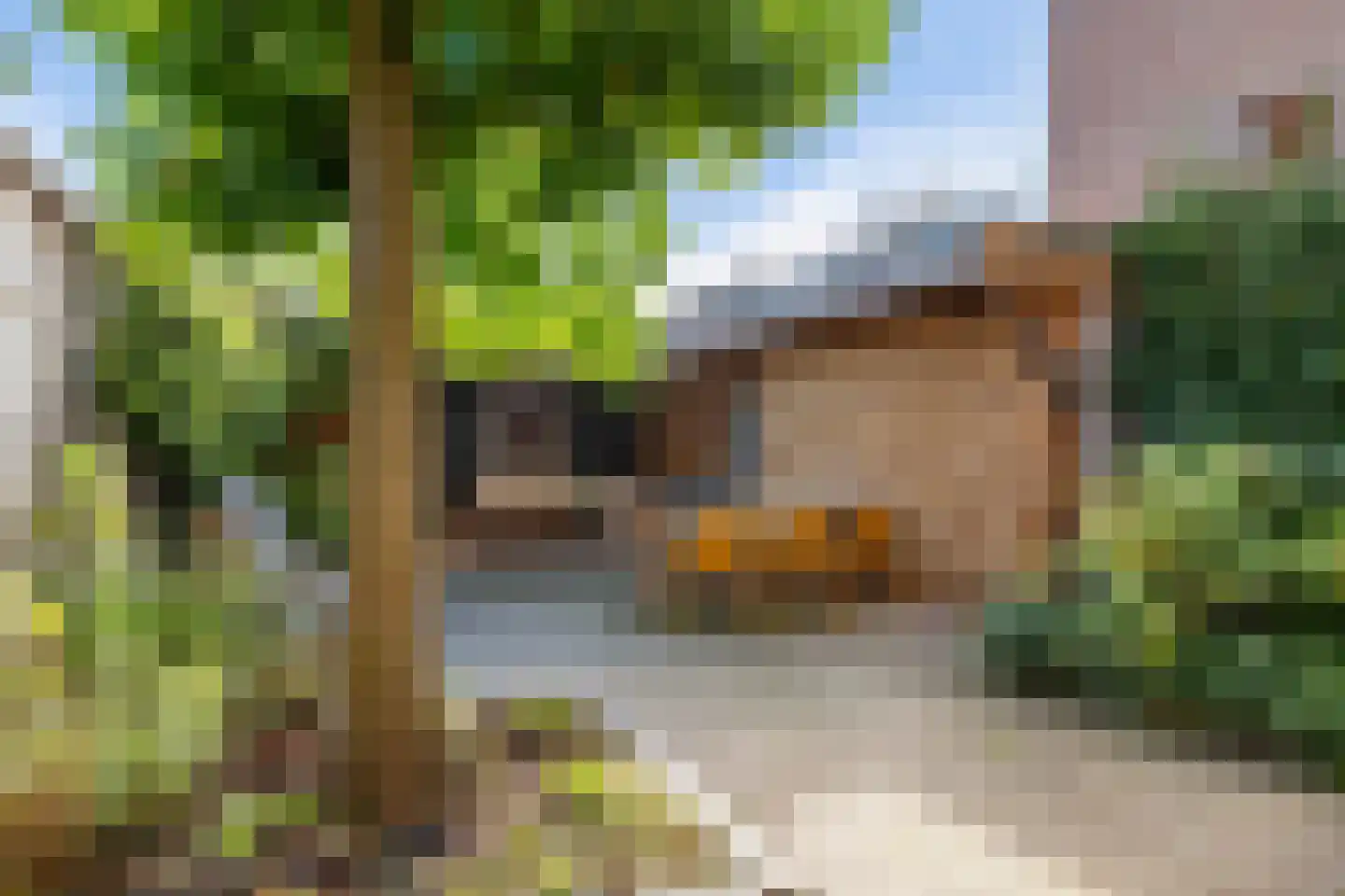 Pijlhuishorst 12 Enschede thumbnail 5