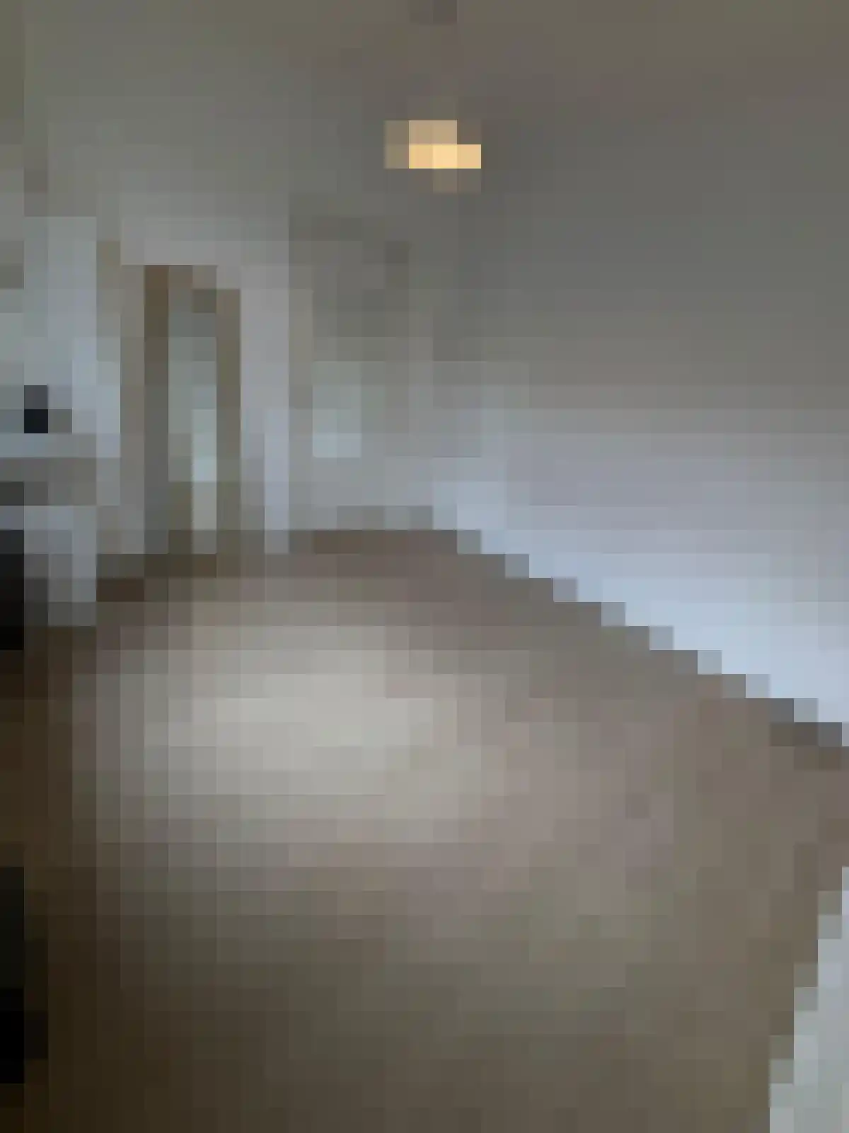 Pijlijserstraat 31 Tilburg thumbnail 4