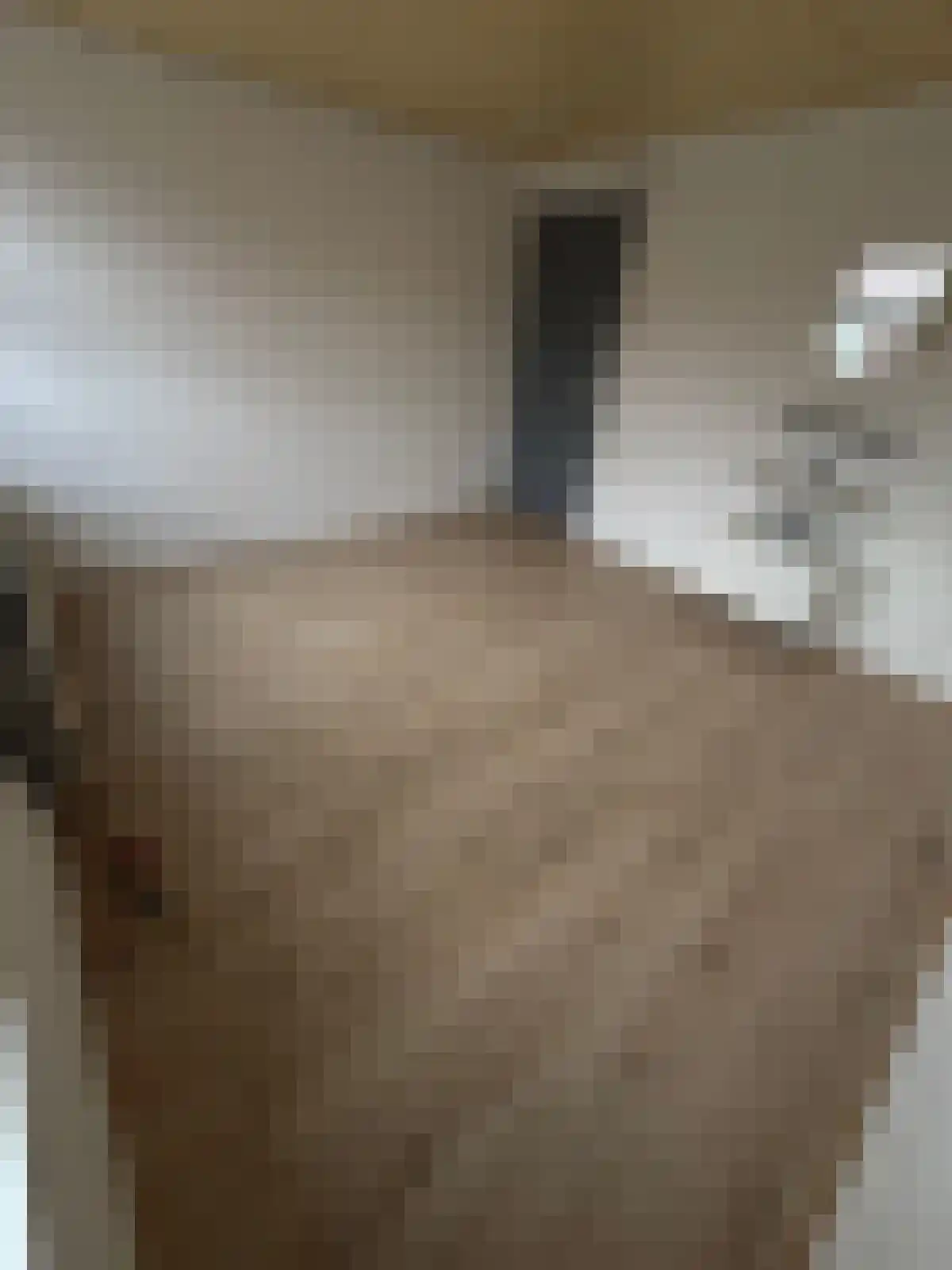 Pijlijserstraat 31 Tilburg thumbnail 5
