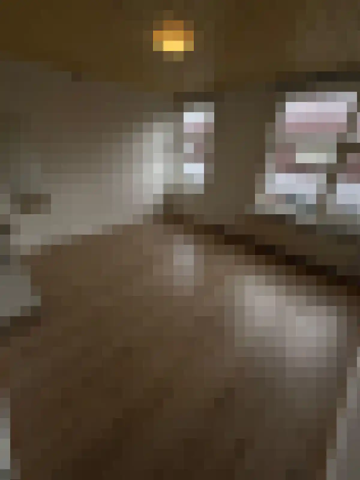 Pijlijserstraat 31 Tilburg thumbnail 6