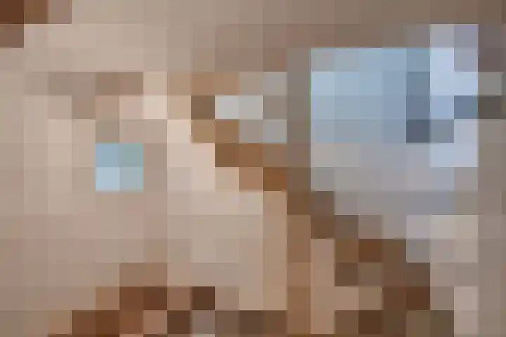 Pijlijserstraat 5 Tilburg thumbnail 13