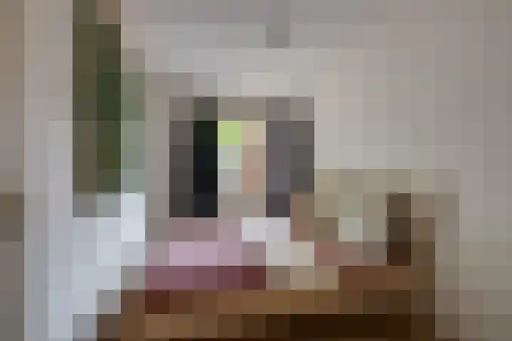 Pijlijserstraat 5 Tilburg thumbnail 20