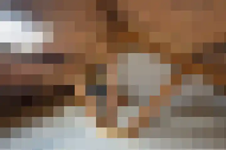 Pijlijserstraat 5 Tilburg thumbnail 28