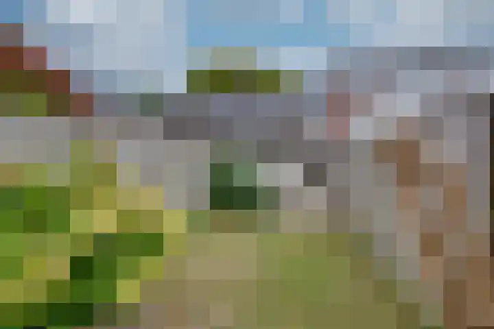 Pijlijserstraat 5 Tilburg thumbnail 31