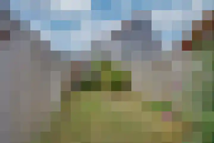 Pijlijserstraat 5 Tilburg thumbnail 32