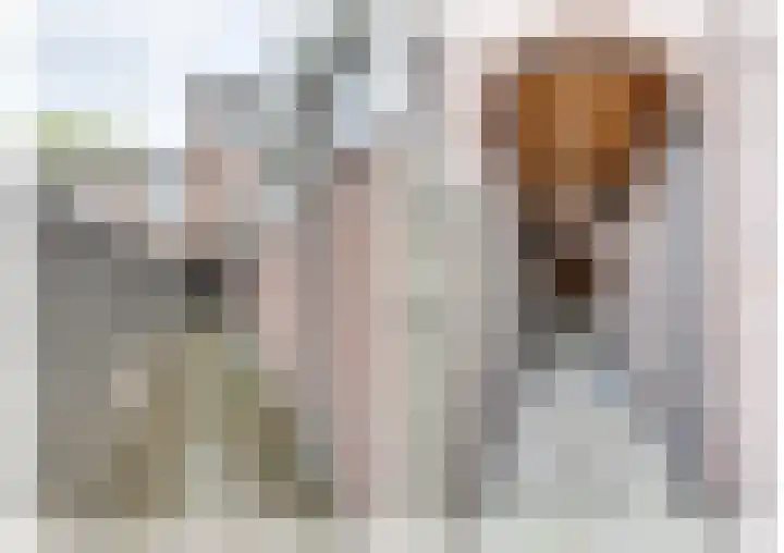 Pijlijserstraat 5 Tilburg thumbnail 33