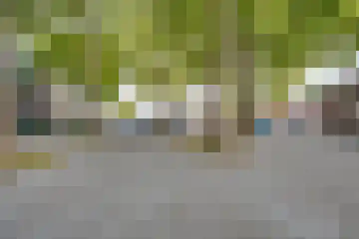 Pijlijserstraat 5 Tilburg thumbnail 4