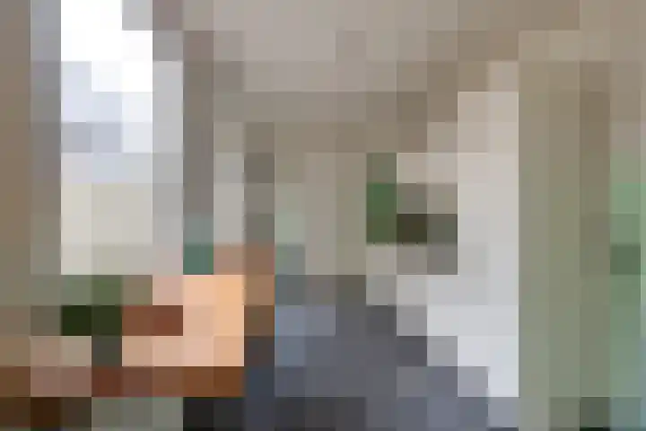 Pijlijserstraat 5 Tilburg thumbnail 9