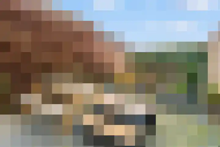 Pijlijserstraat 88 Tilburg thumbnail 30