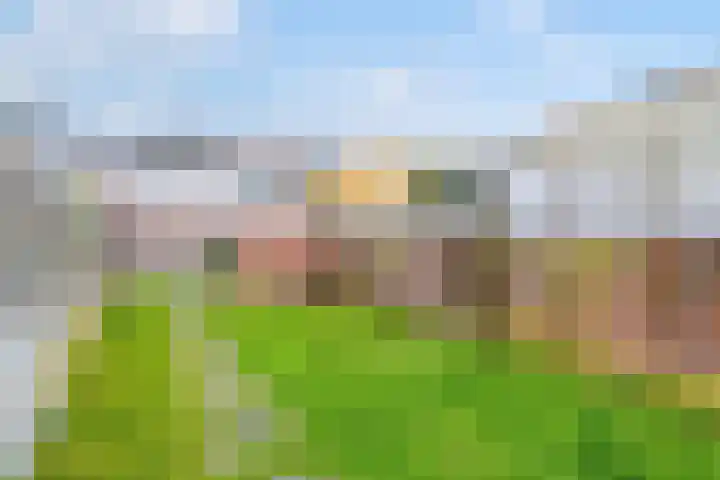 Pijlijserstraat 88 Tilburg thumbnail 31