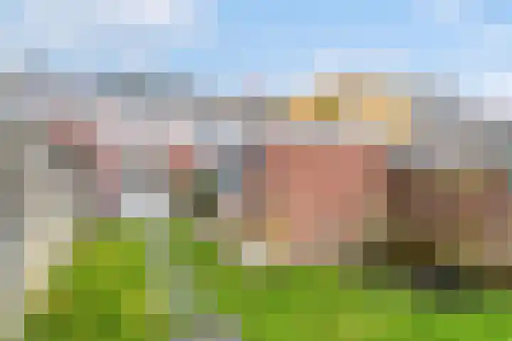 Pijlijserstraat 88 Tilburg thumbnail 32