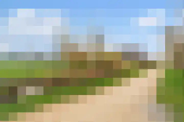 Pijlijserstraat 88 Tilburg thumbnail 38