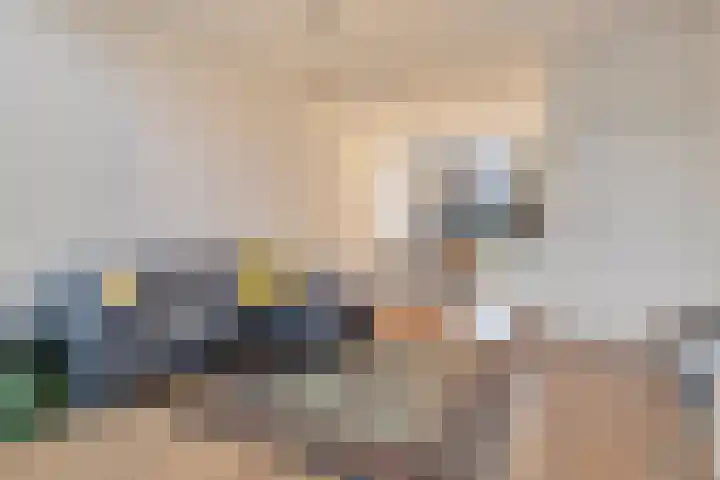 Pijlijserstraat 88 Tilburg thumbnail 5