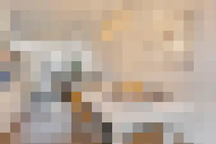 Pijlijserstraat 88 Tilburg thumbnail 8