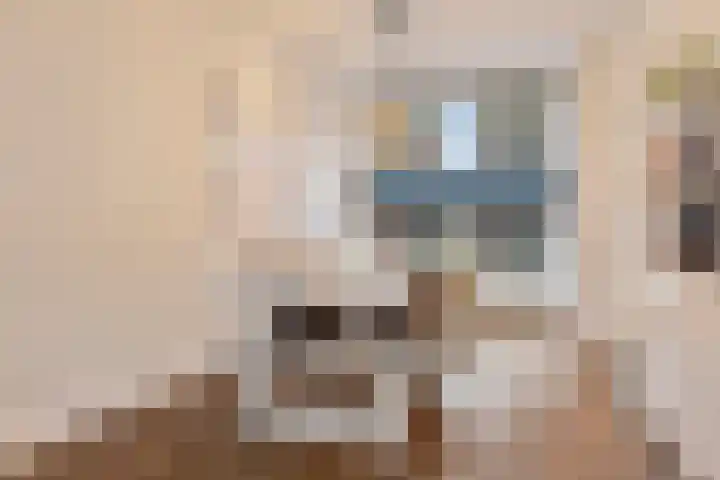 Pijlijserstraat 88 Tilburg thumbnail 9