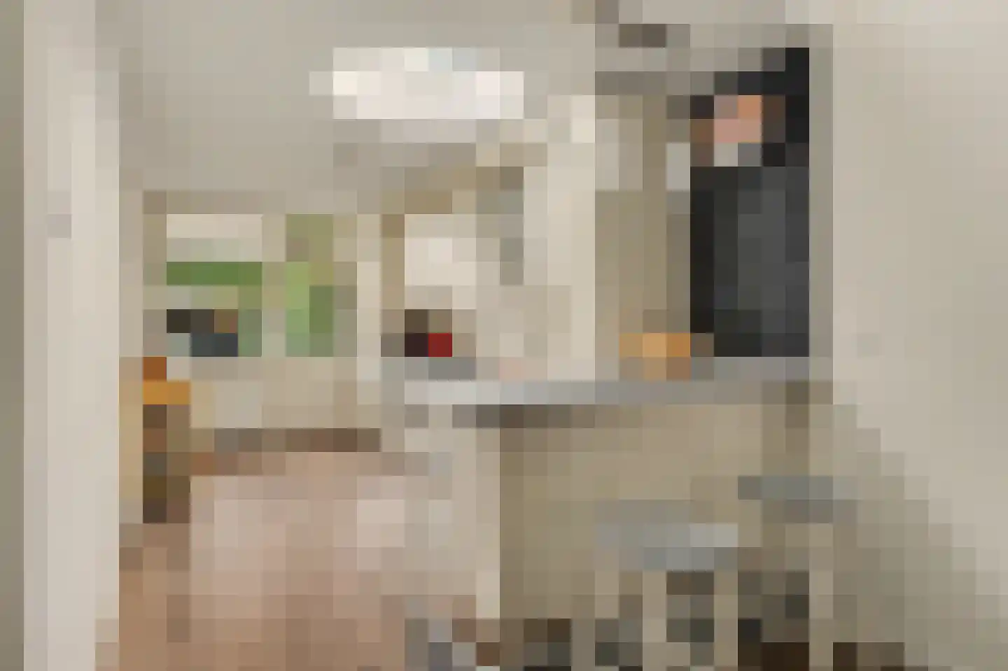 Pijlijserstraat 94 Tilburg thumbnail 12