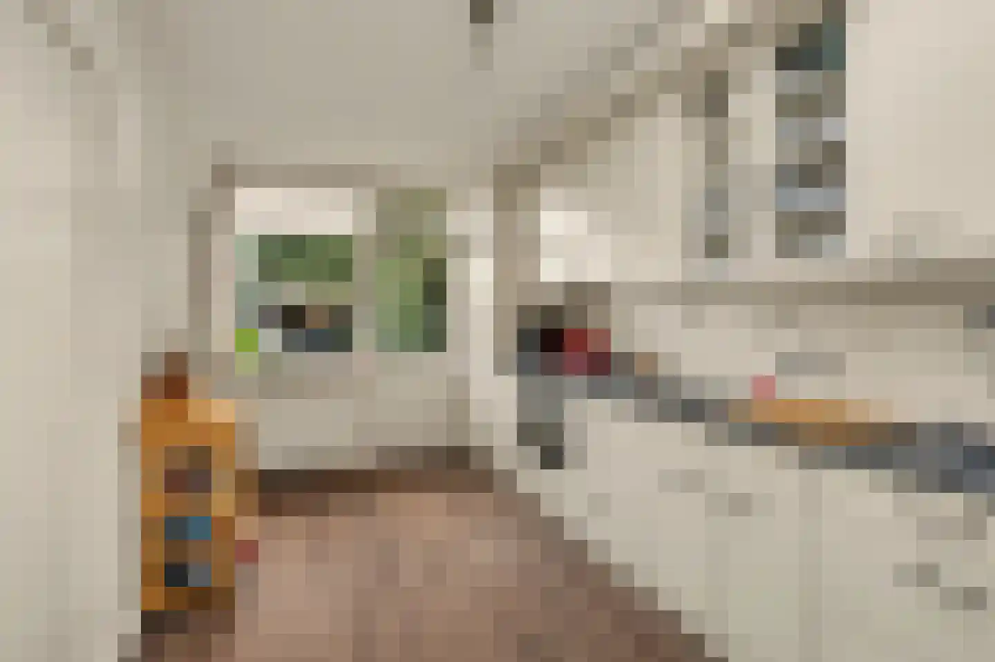 Pijlijserstraat 94 Tilburg thumbnail 13