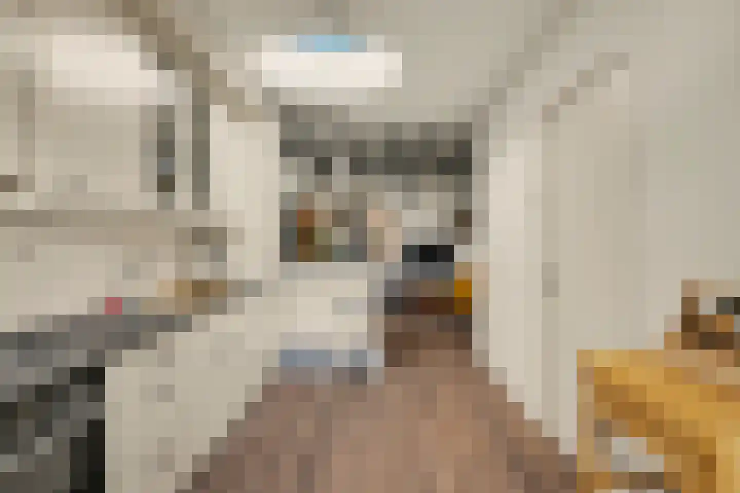 Pijlijserstraat 94 Tilburg thumbnail 14