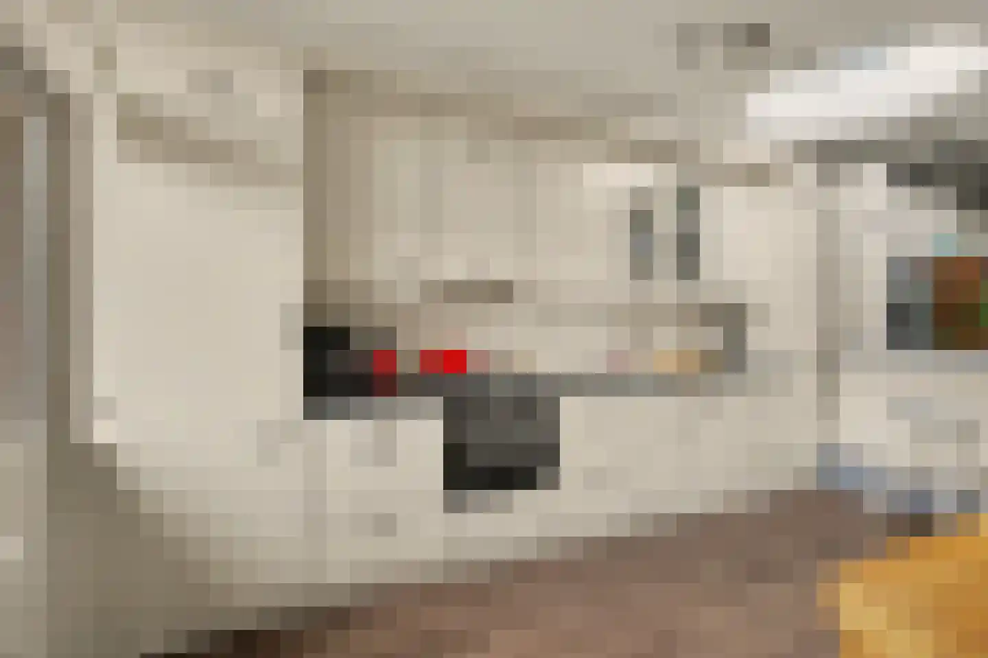 Pijlijserstraat 94 Tilburg thumbnail 15