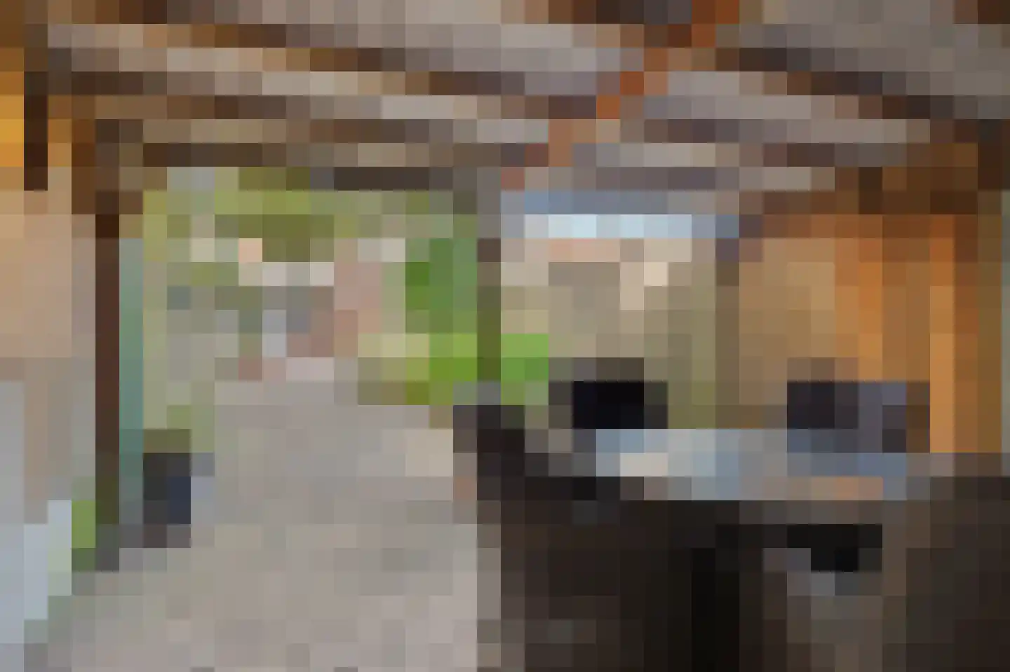 Pijlijserstraat 94 Tilburg thumbnail 26