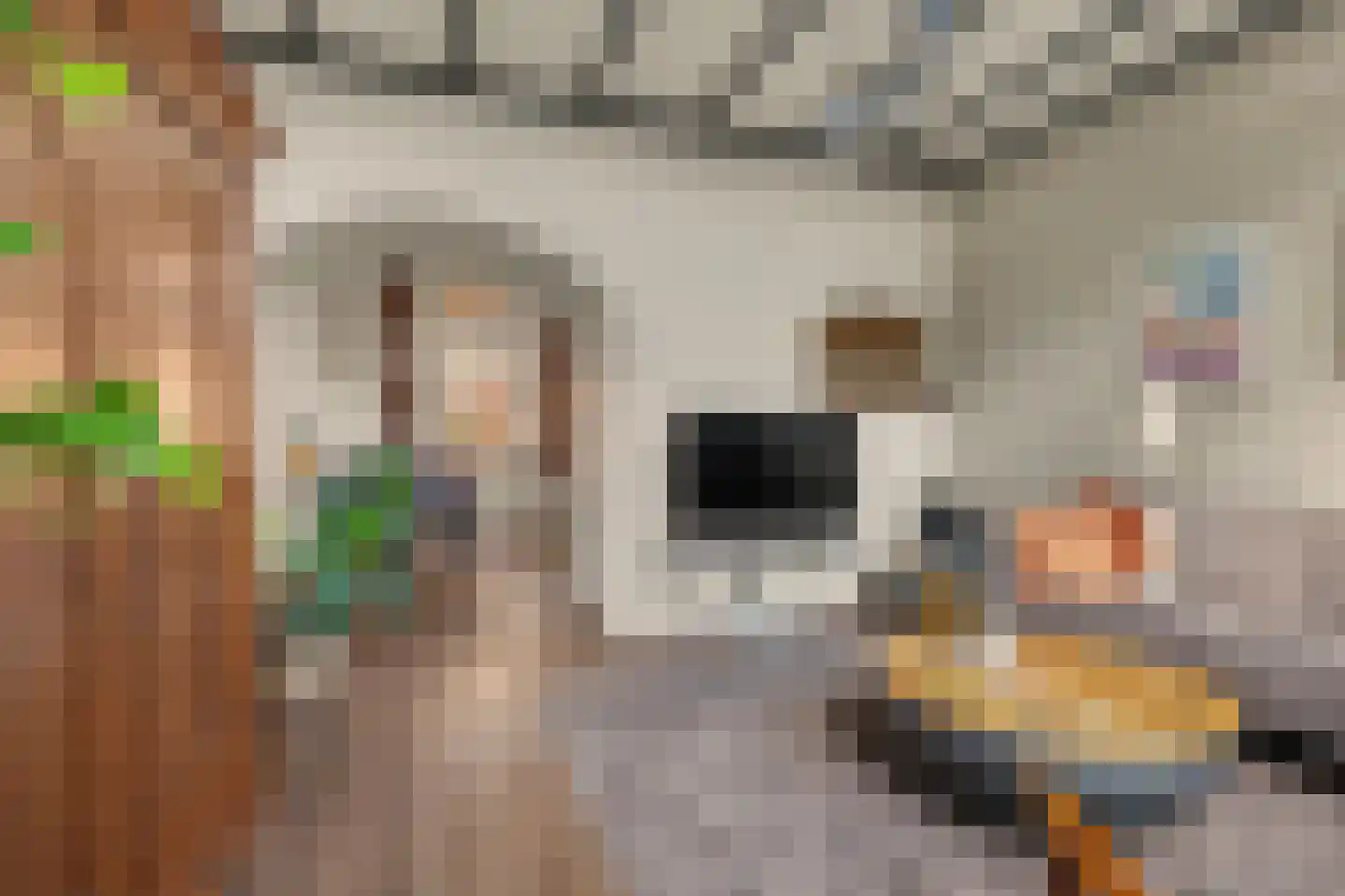 Pijlijserstraat 94 Tilburg thumbnail 9