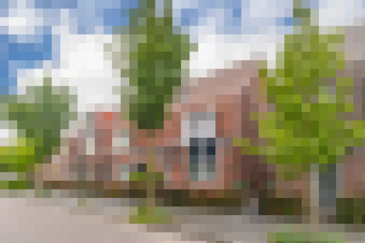 Pijlkruid 10 Elst