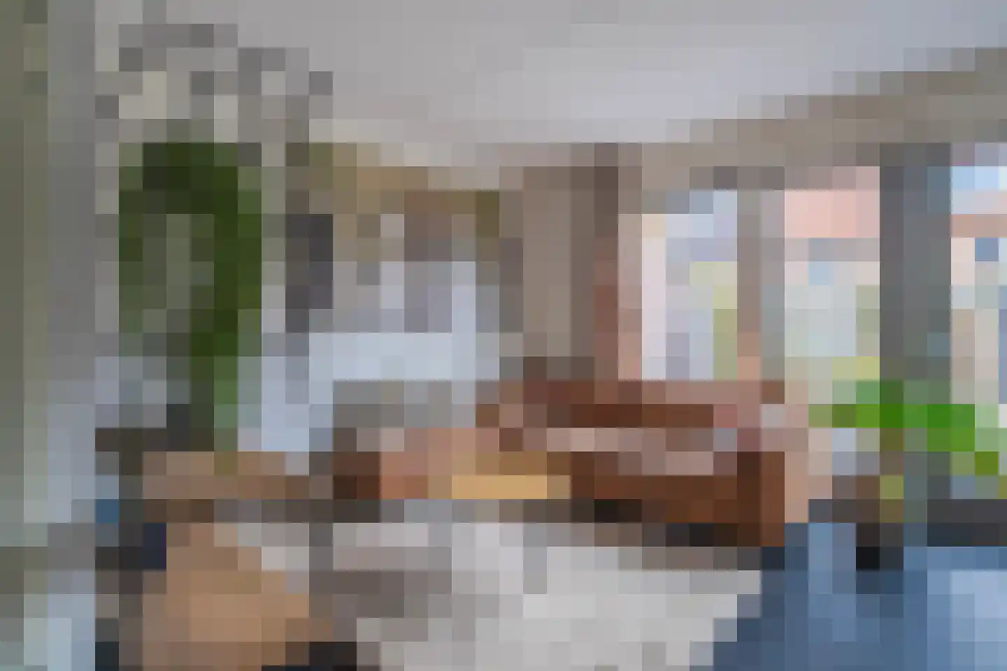 Pijlkruid 10 Elst thumbnail 10