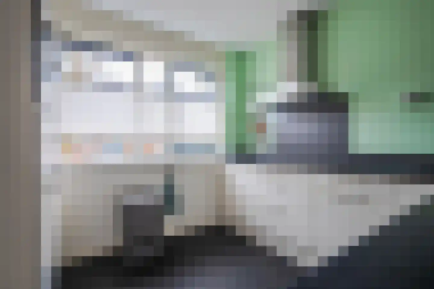 Pijlkruid 10 Elst thumbnail 13