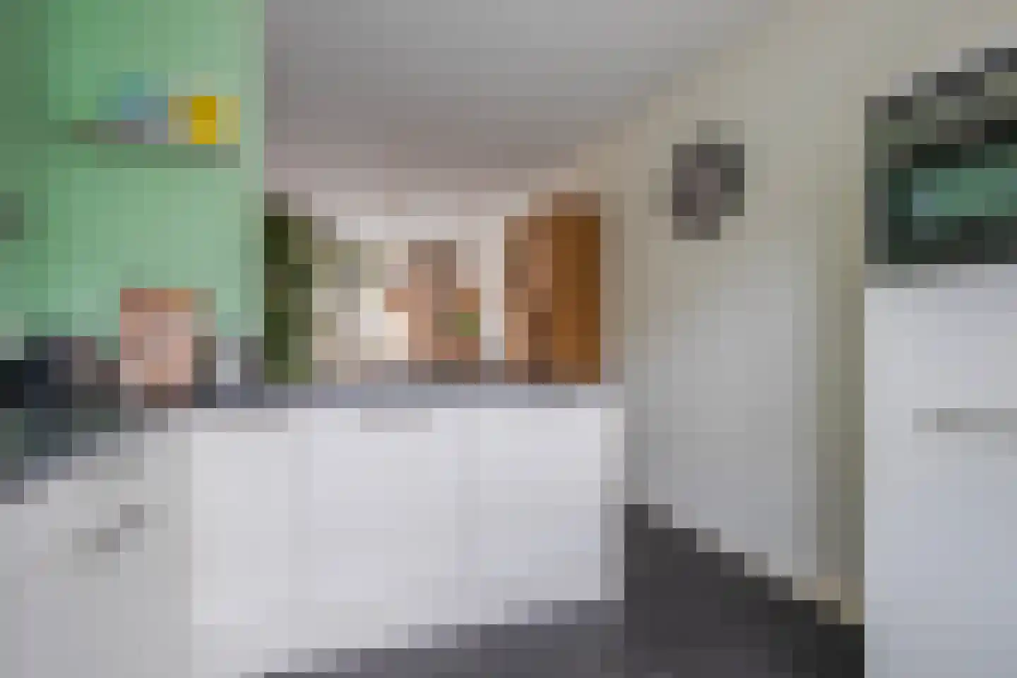 Pijlkruid 10 Elst thumbnail 15