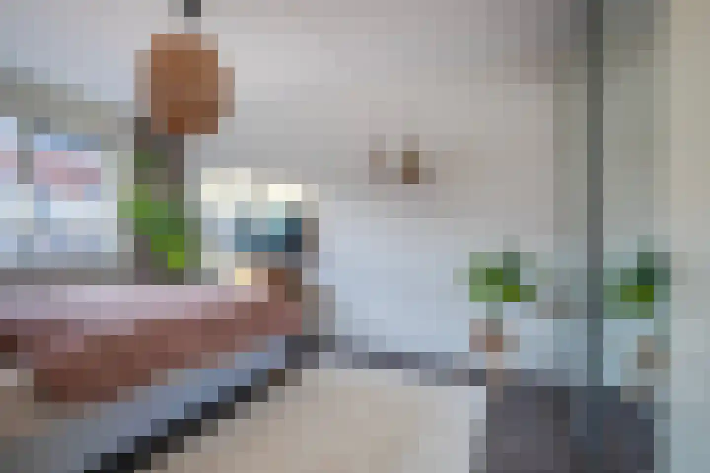 Pijlkruid 10 Elst thumbnail 17