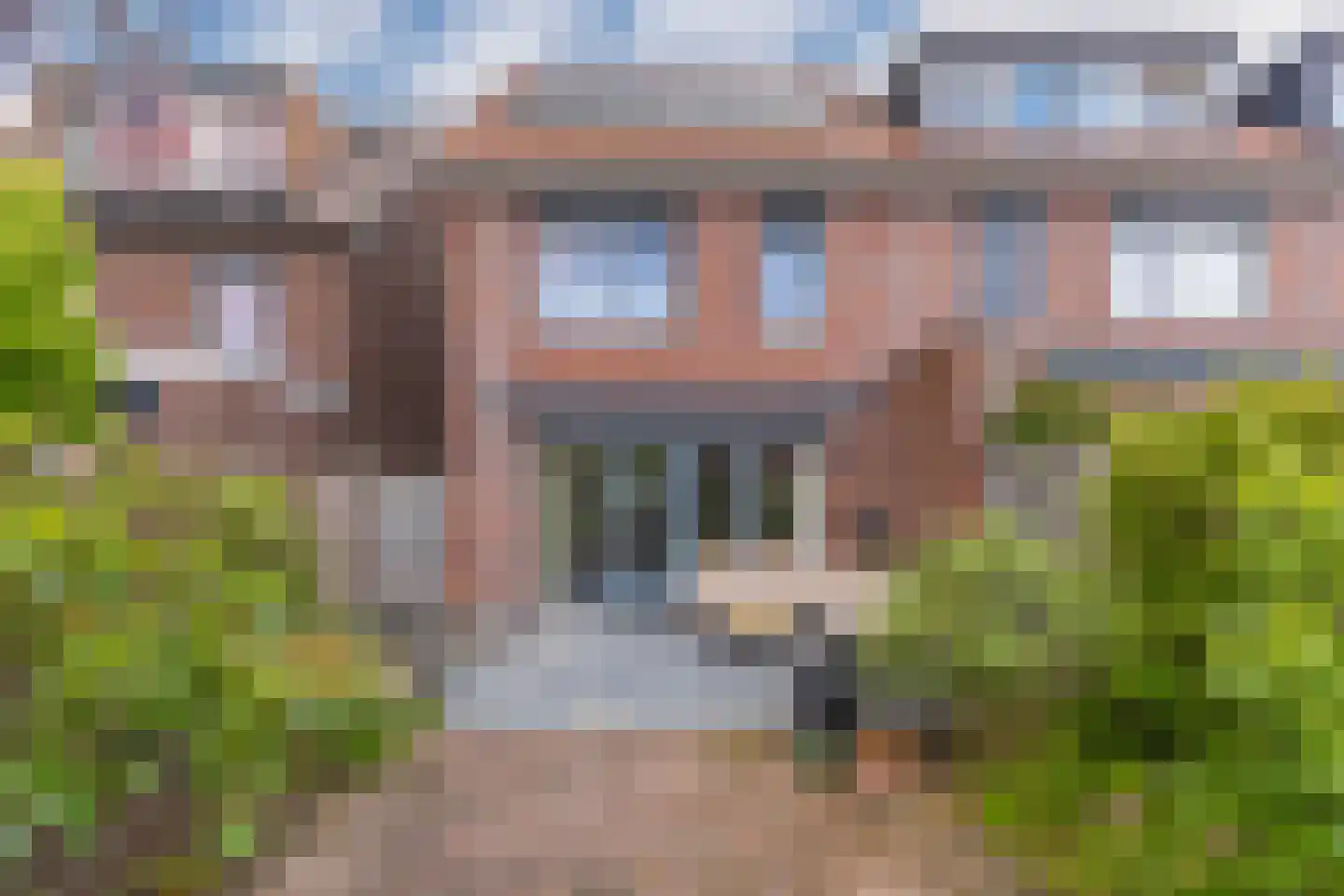 Pijlkruid 10 Elst foto 2