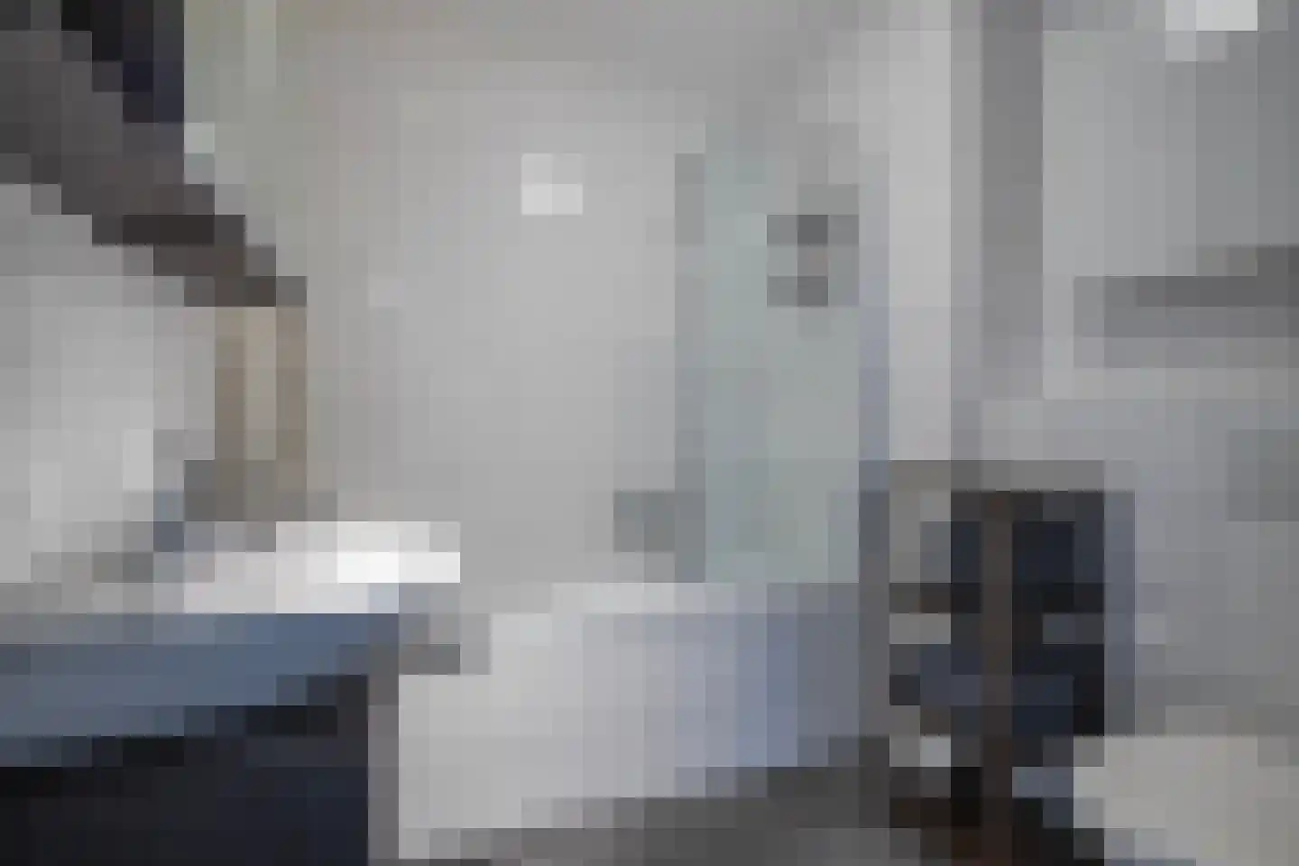 Pijlkruid 10 Elst thumbnail 21