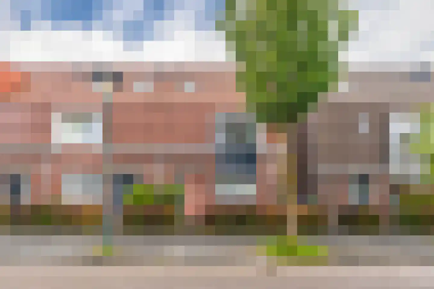 Pijlkruid 10 Elst thumbnail 25