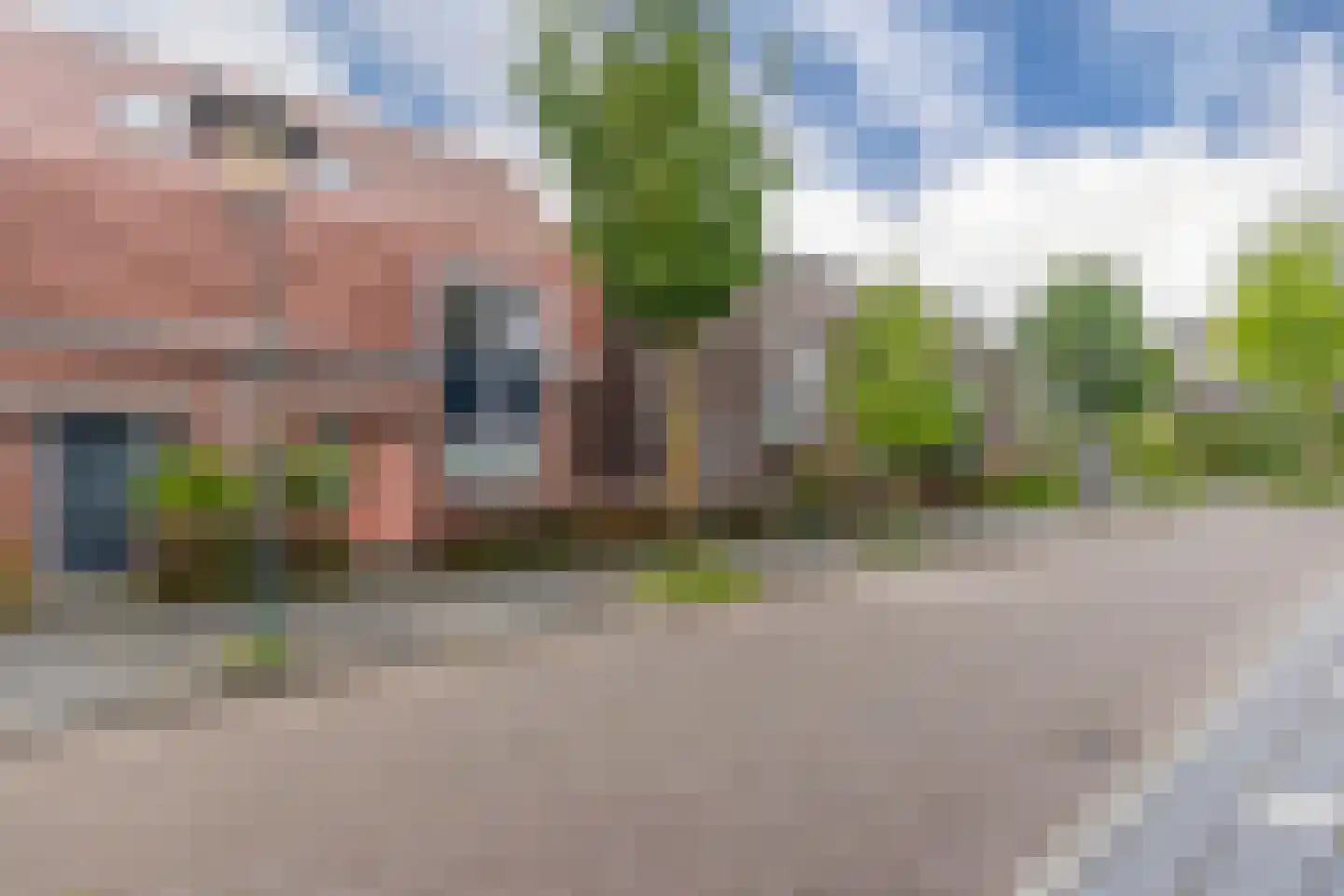 Pijlkruid 10 Elst thumbnail 26
