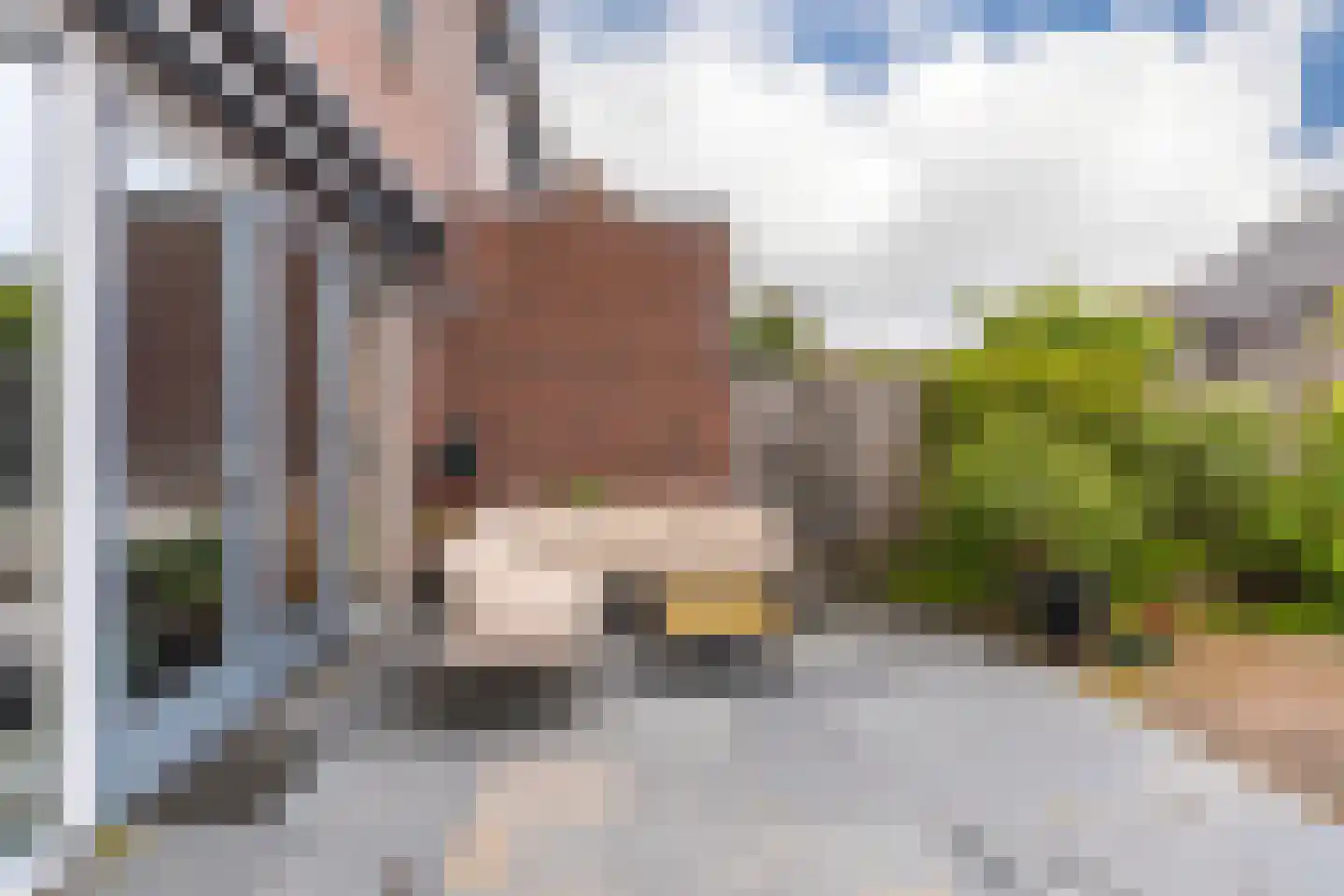 Pijlkruid 10 Elst thumbnail 28