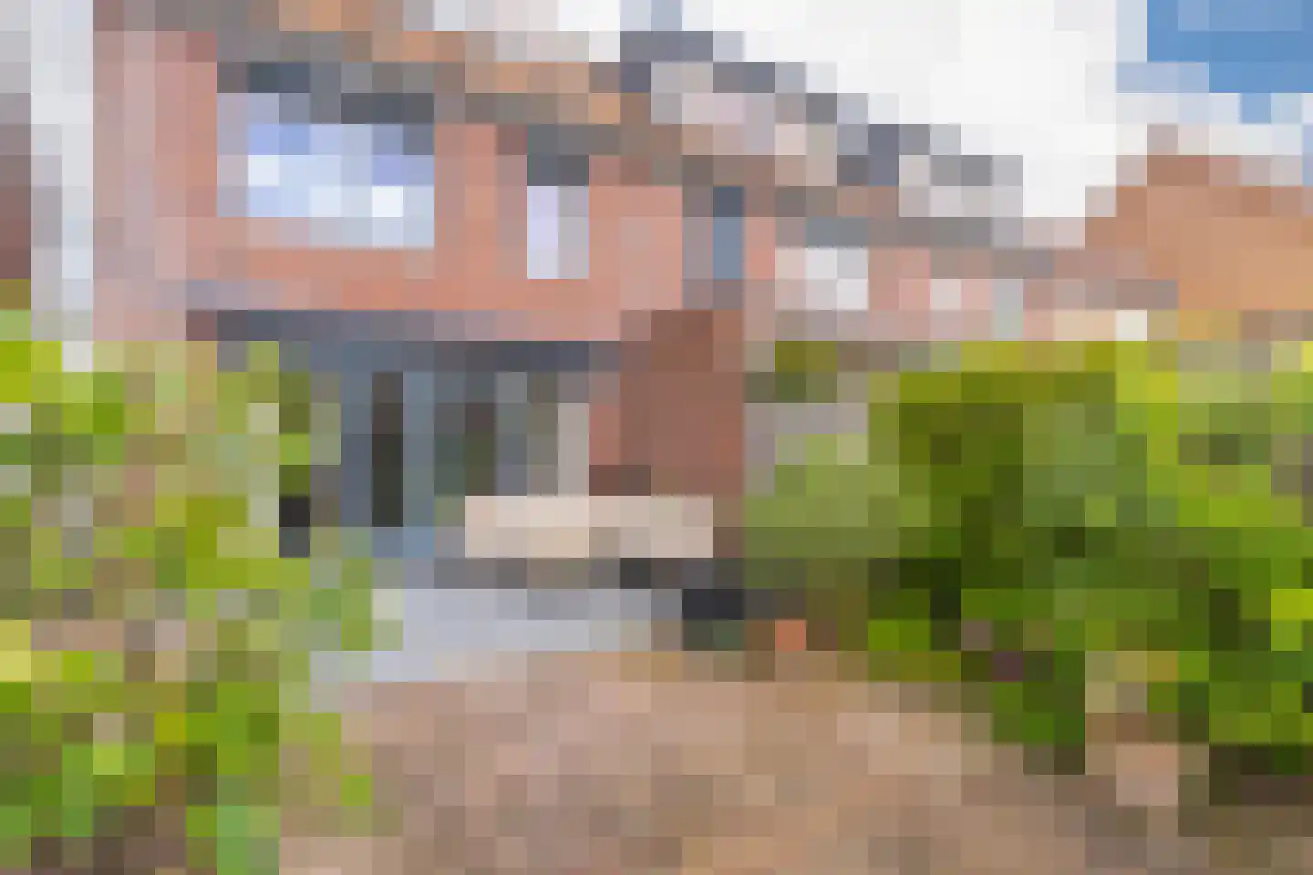 Pijlkruid 10 Elst foto 3