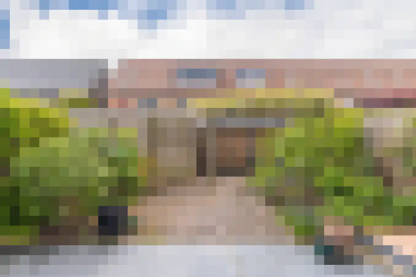 Pijlkruid 10 Elst thumbnail 30