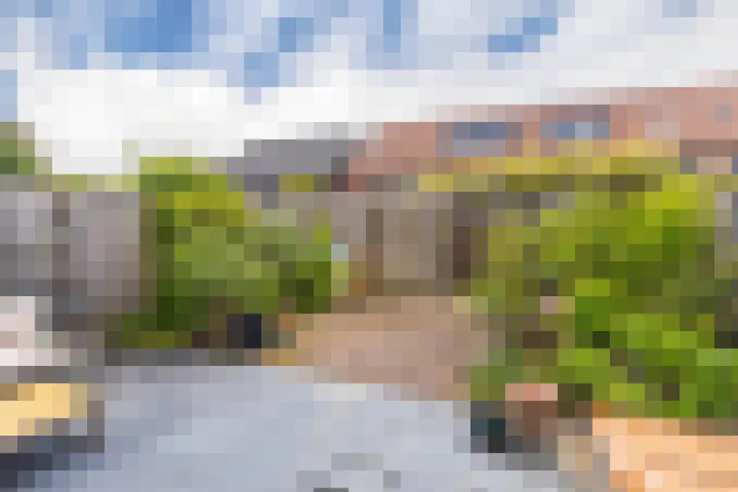 Pijlkruid 10 Elst thumbnail 31
