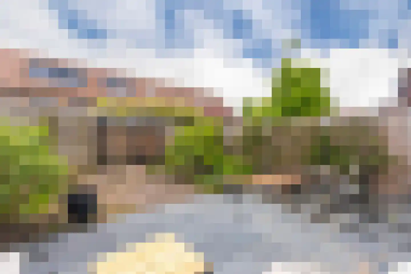 Pijlkruid 10 Elst thumbnail 32