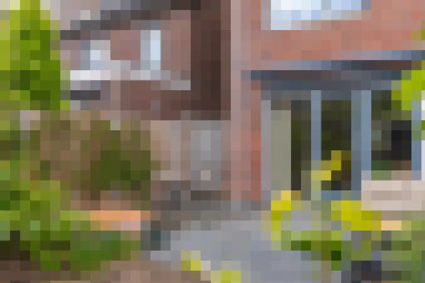 Pijlkruid 10 Elst thumbnail 33