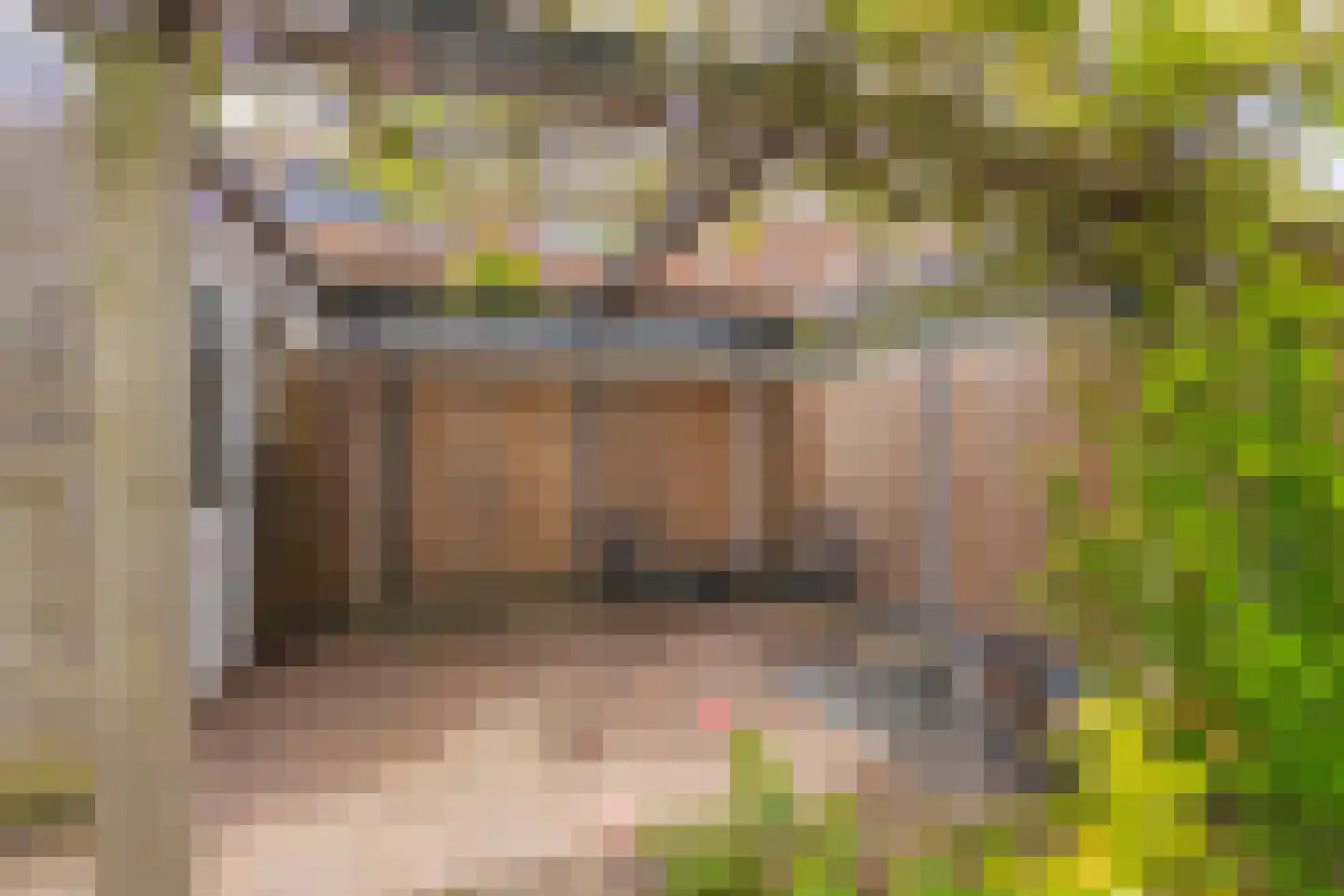 Pijlkruid 10 Elst thumbnail 34