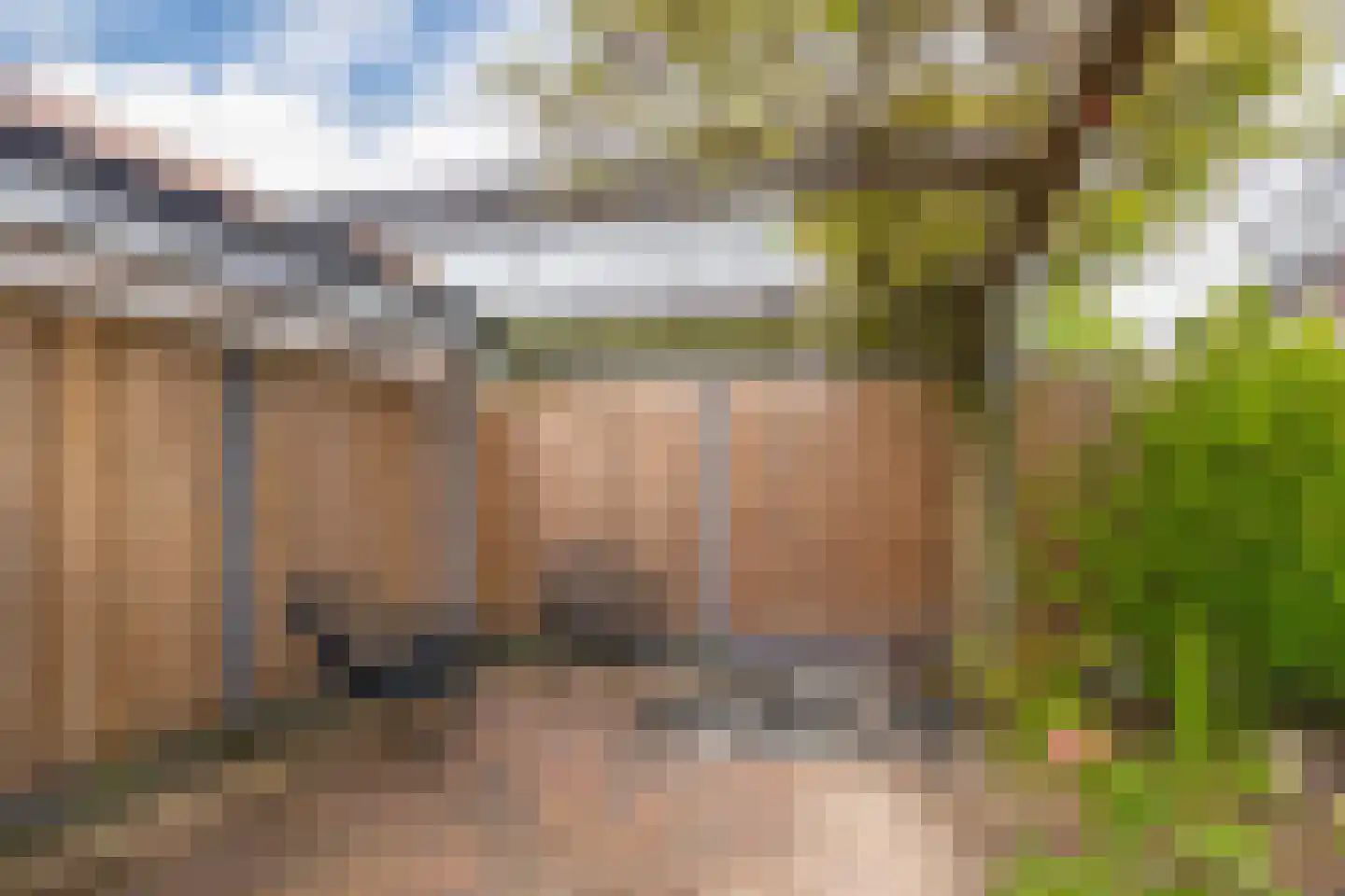 Pijlkruid 10 Elst thumbnail 35