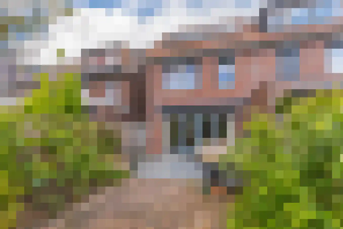Pijlkruid 10 Elst thumbnail 36