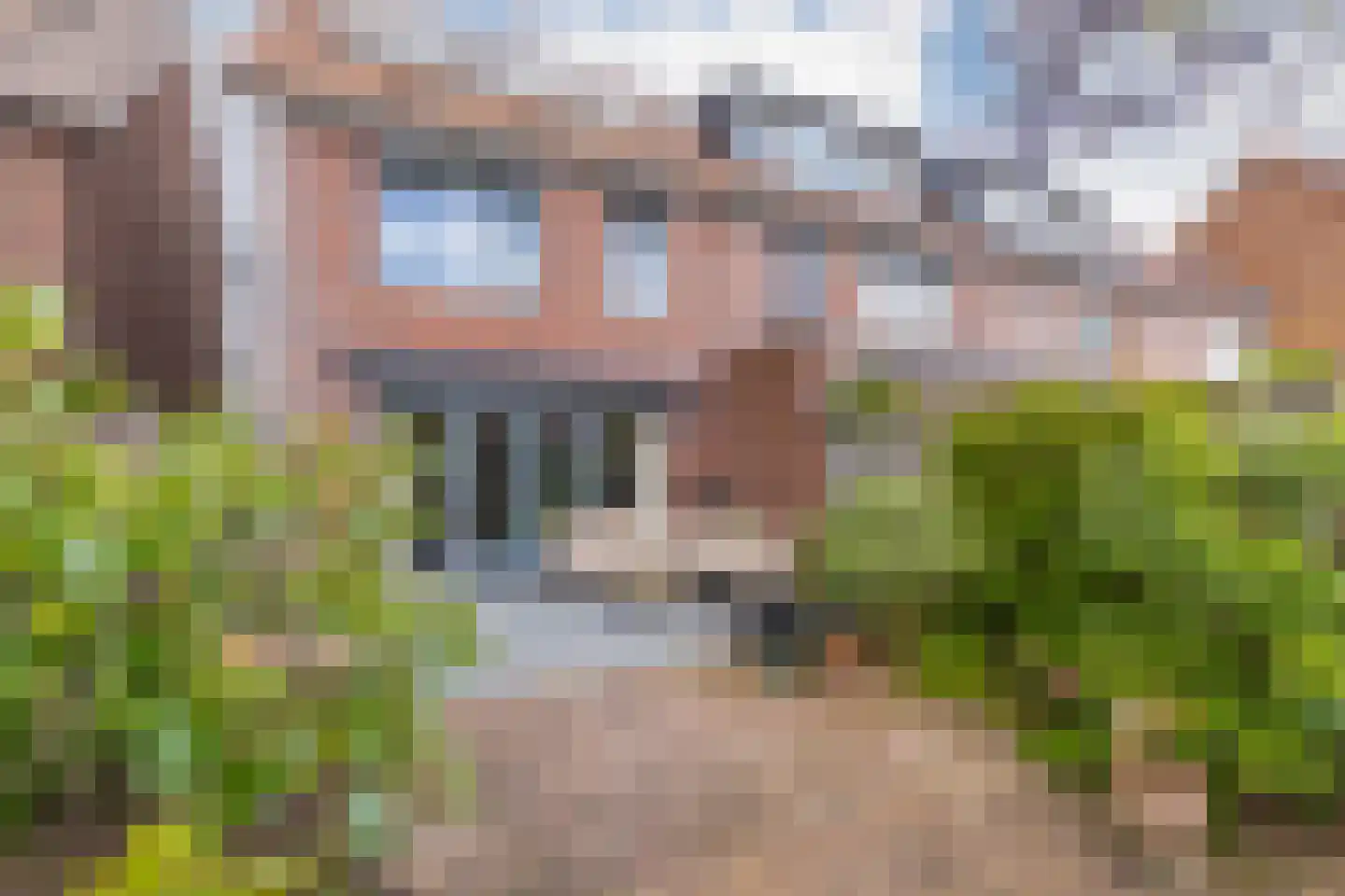 Pijlkruid 10 Elst thumbnail 37