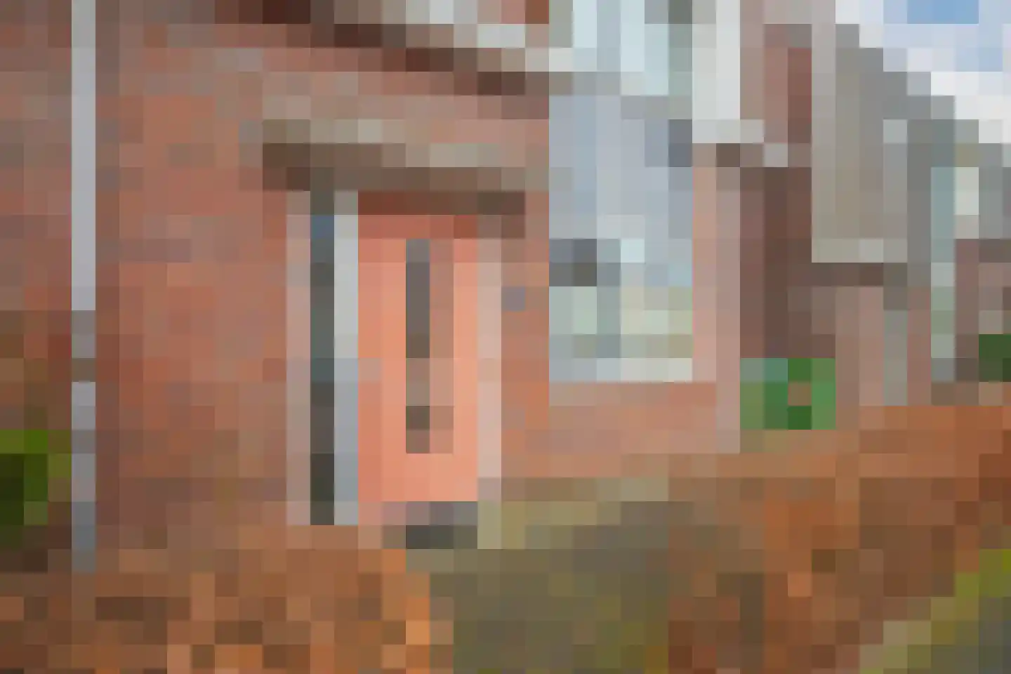 Pijlkruid 10 Elst thumbnail 4