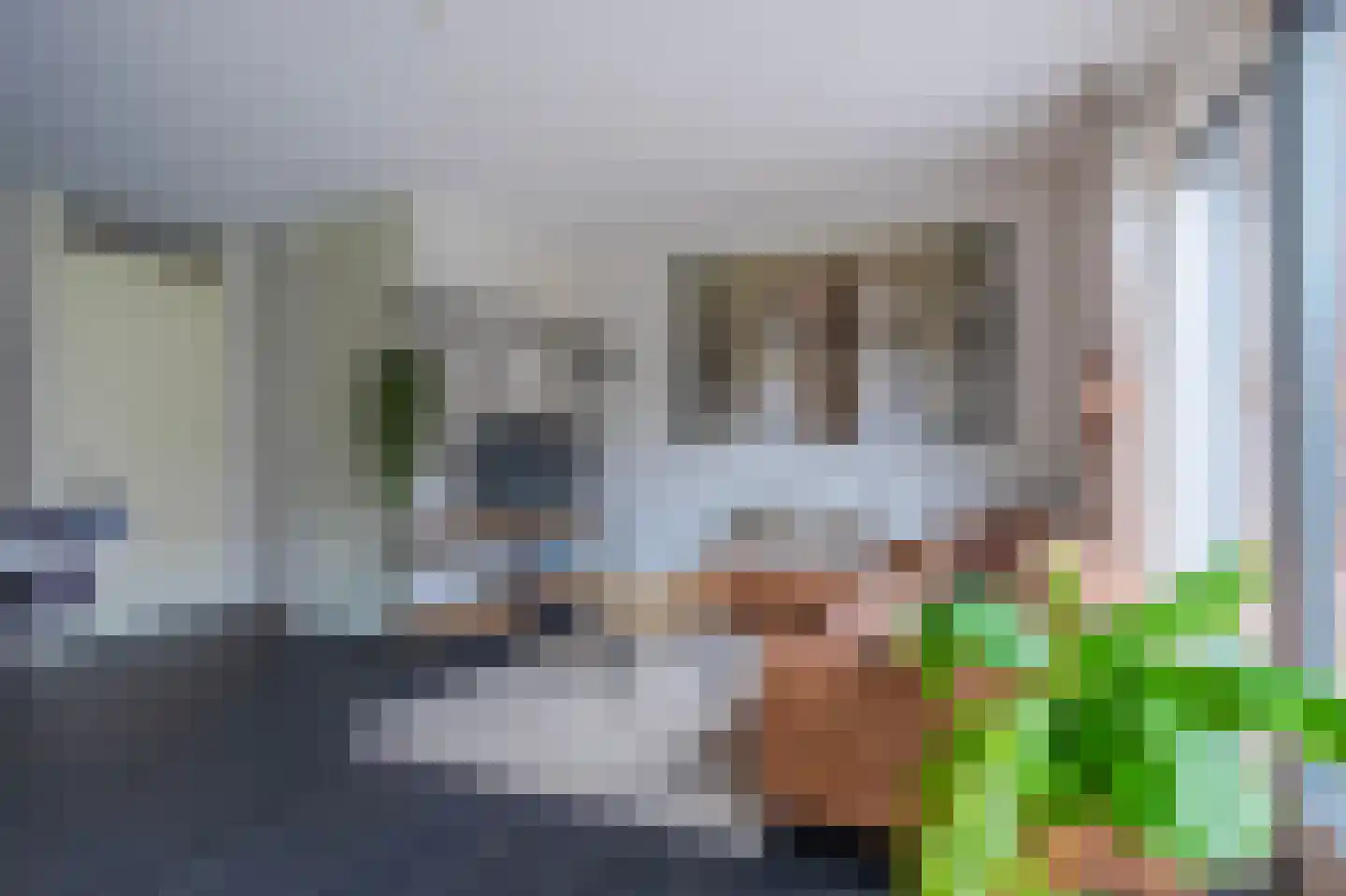 Pijlkruid 10 Elst thumbnail 9