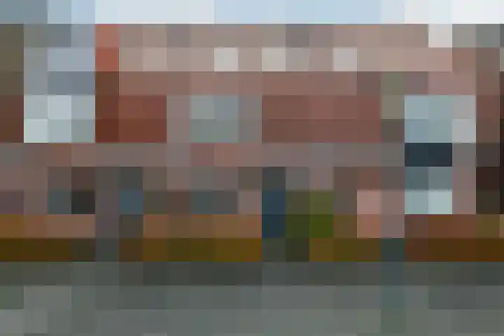 Pijlkruid 12 Elst