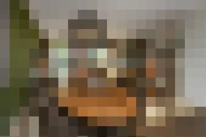 Pijlkruid 12 Elst thumbnail 11